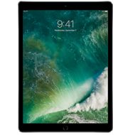 13) 12.9-inch iPad Pro (1st Generation)